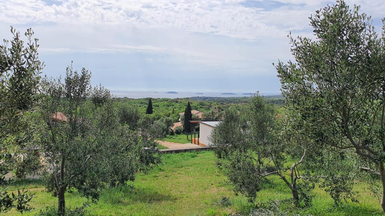 Collis Winery - Family & Friends - Mobilhome Rovinj Exterior foto